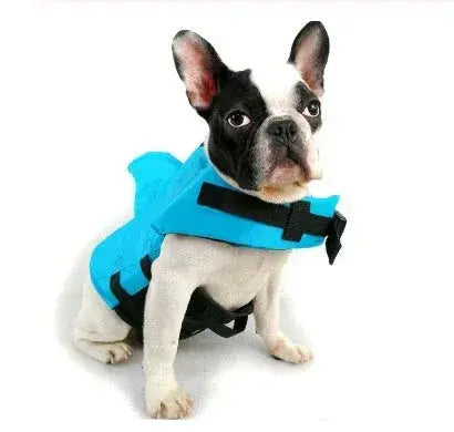 Pet Zen Summer Fun: Get ready for Summer Fun with Essential Life Vests, - The BarkMart