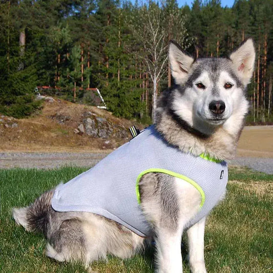 Dog summer traction harness cooling suit - The BarkMart