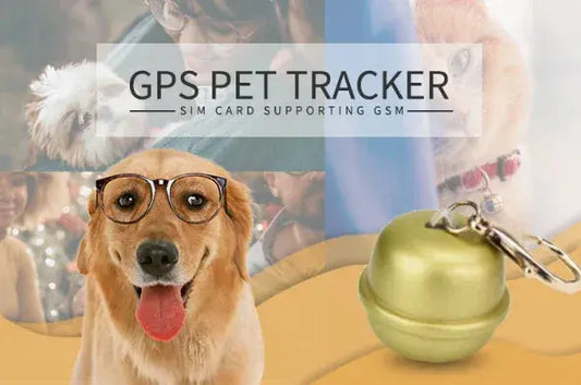 GPS dog collar pet locator - The BarkMart